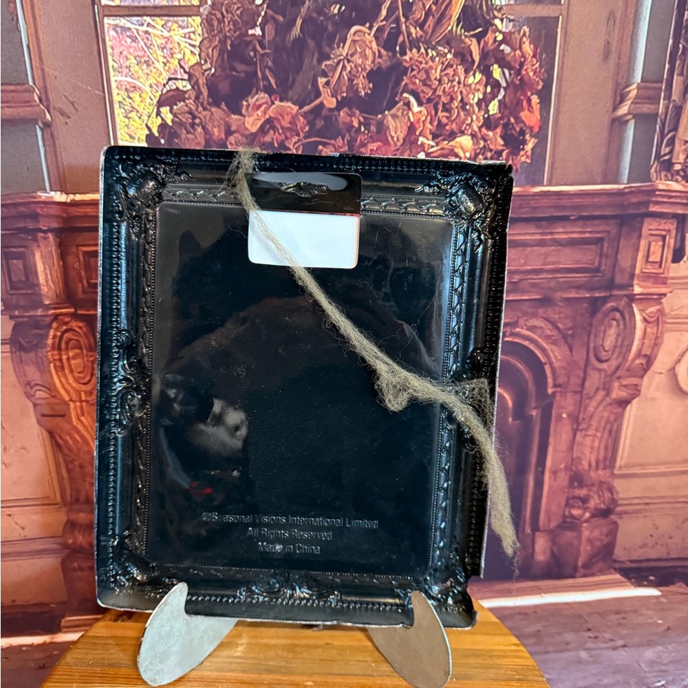 Faux Vintage Ornate Silver Photo Frame Lenticular Changing Spooky Halloween Gag - Picture 9 of 10